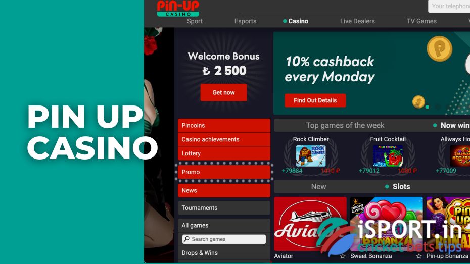 pin up casino